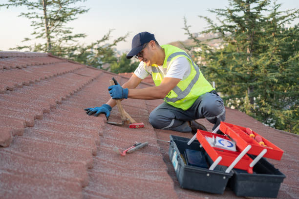 Best Cold Roofs  in Ceredo, WV